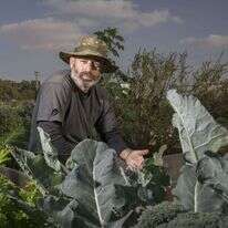 ניקי לוי. | יוסי אלוני