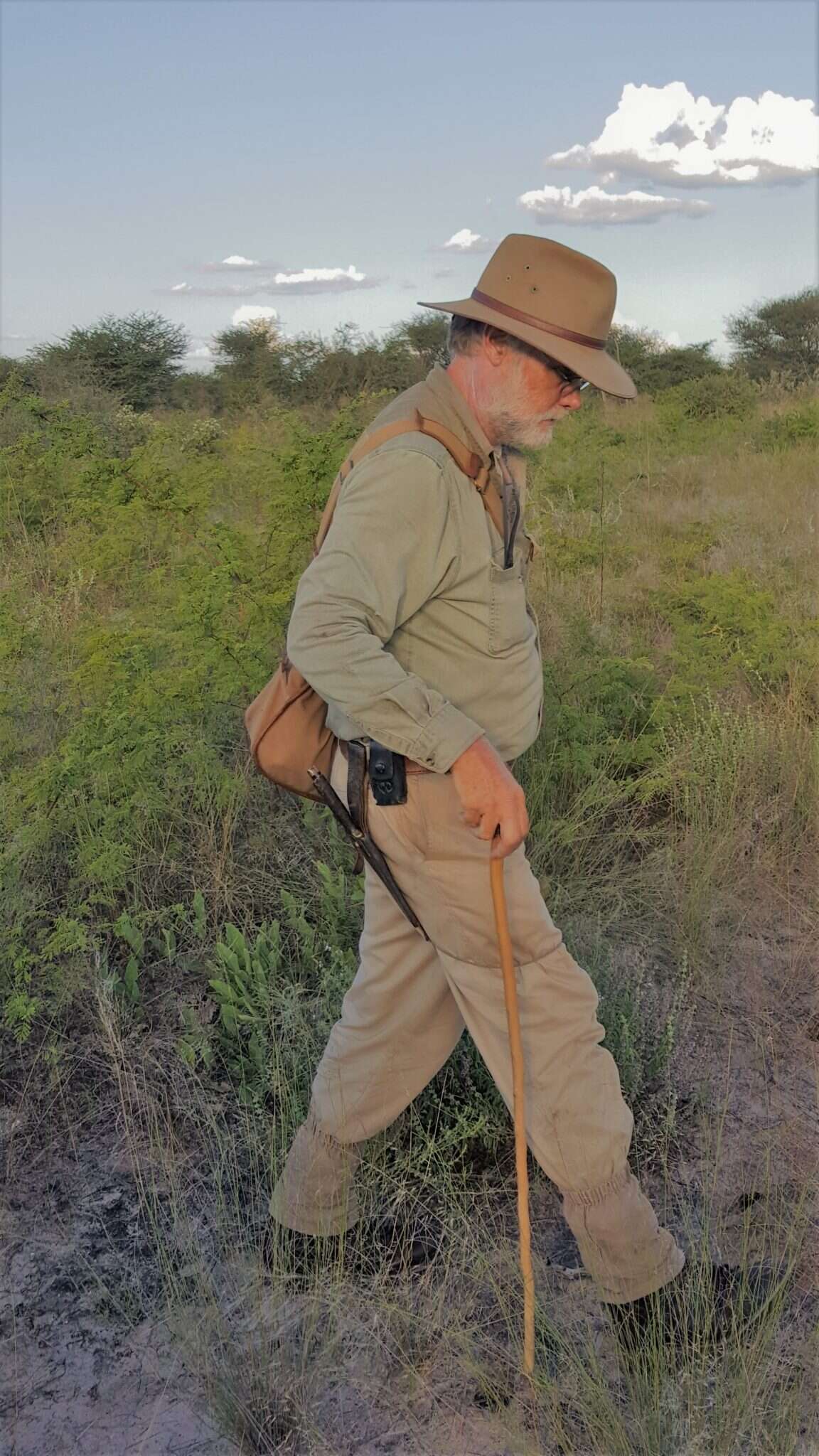 לואי ליבנברג. | ניקי לוי