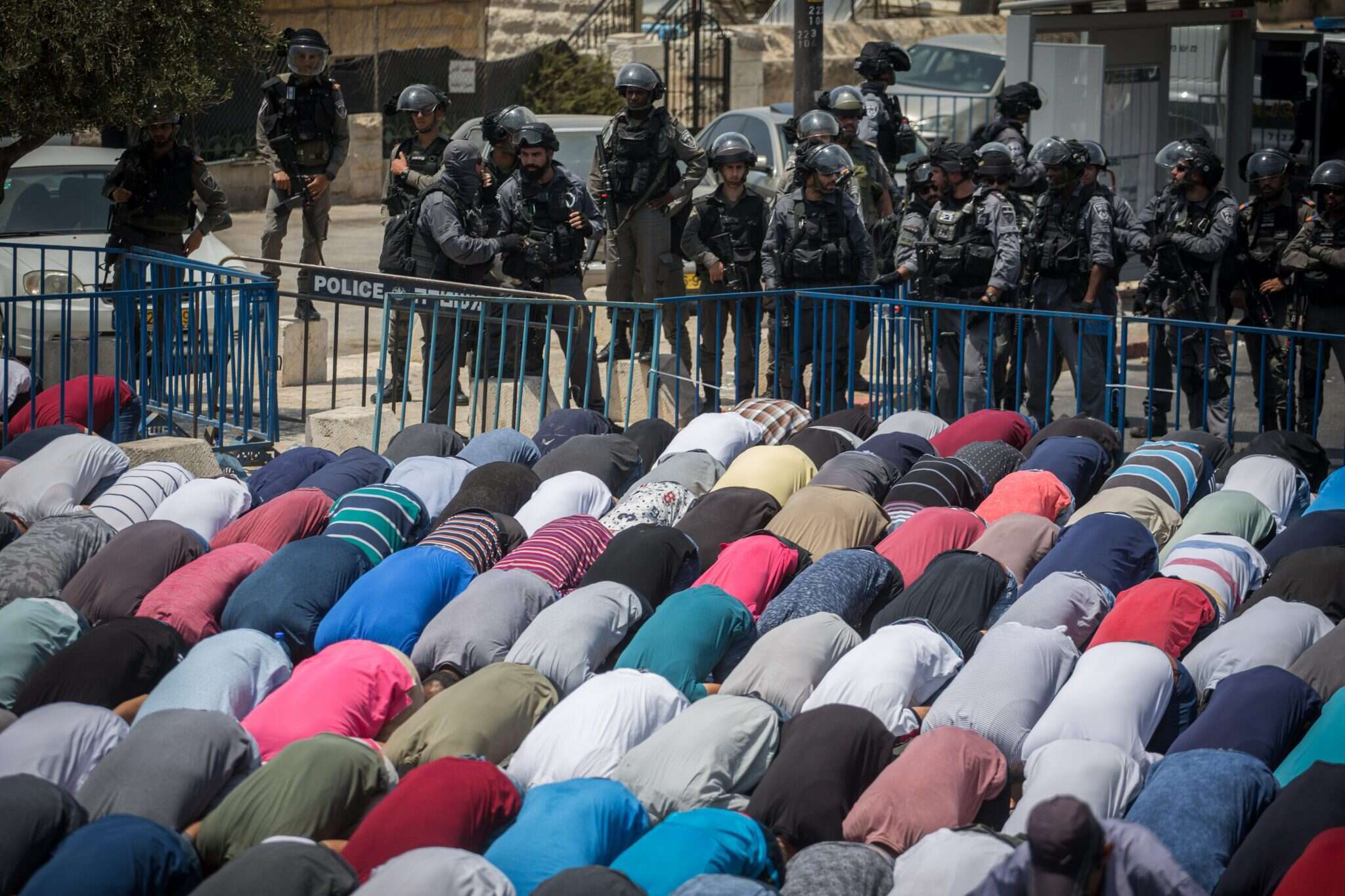 סערת המגנומטרים. | הדס פרושפלאש90