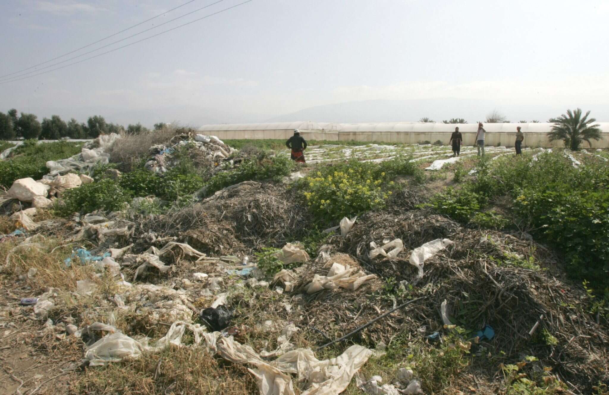 זיהום ביו"ש. | מרים צחי