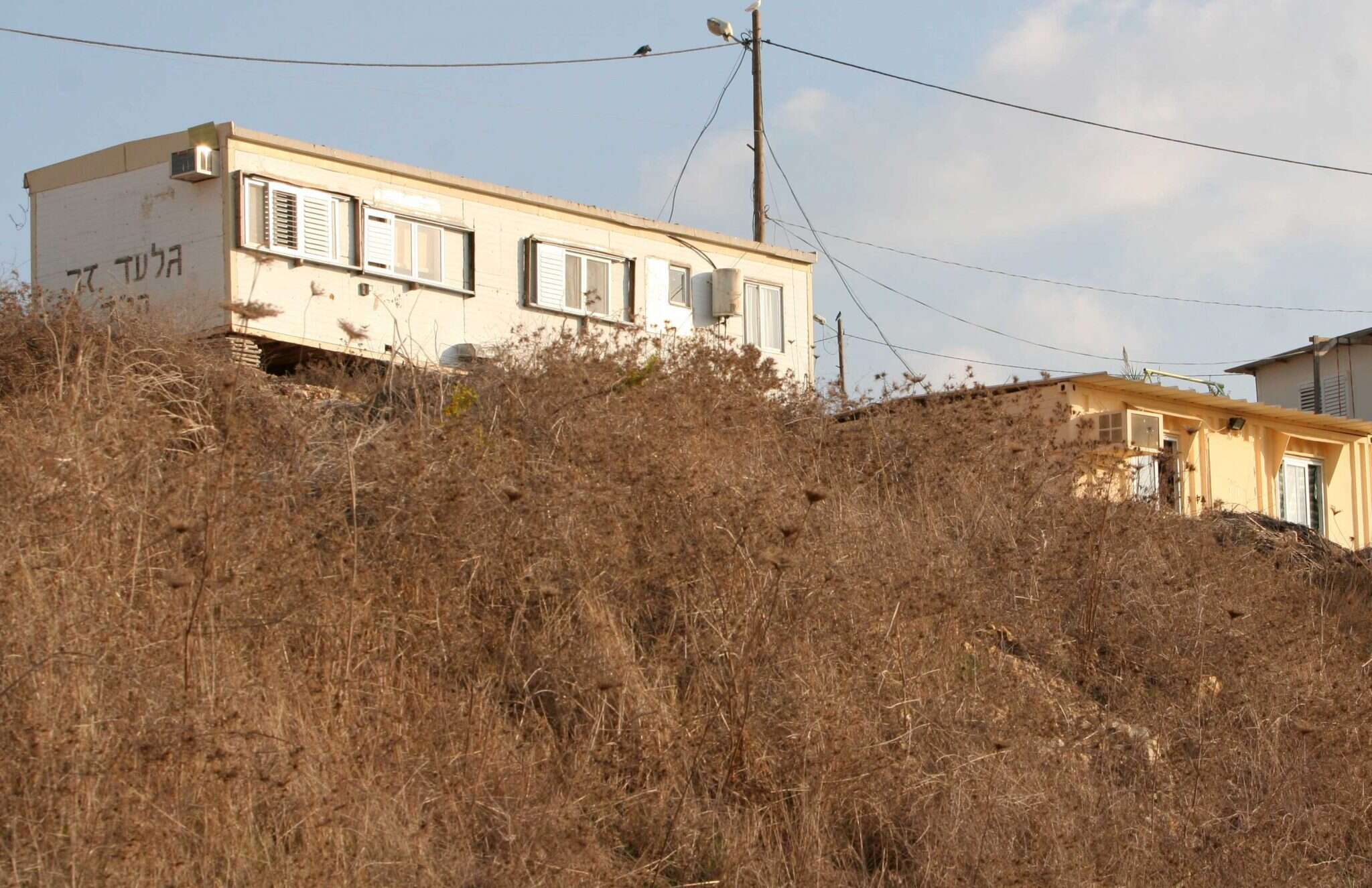 חוות גלעד. | מרים צחי חוות גלעד. | מרים צחי