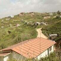 חוות גלעד. | מרים צחי