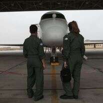 טייסות. | אופיר דוד