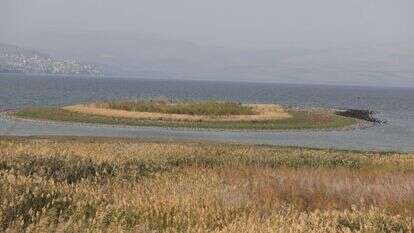 אי שנוצר מהתייבשות הכנרת, ארכיון. | מירי צחי