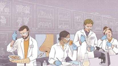 איור: דניאל פלג איור: דניאל פלג