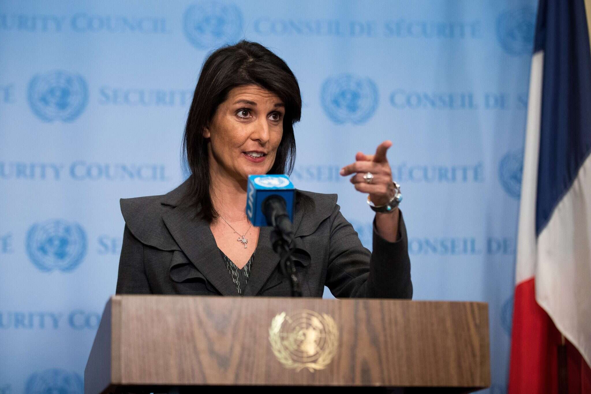 ניקי היילי. ארכיון | AFP ניקי היילי. ארכיון | AFP