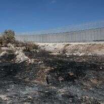 חממה שהוצתה. | ארכיון: מרים צחי