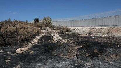 חממה שהוצתה. | ארכיון: מרים צחי