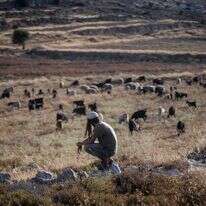 רועה צאן באחת מגבעות יהודה ושומרון. אילוסטרציה | משה שלייפר - פלאש 90