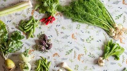 גיא אשכנזי, Agency Karela