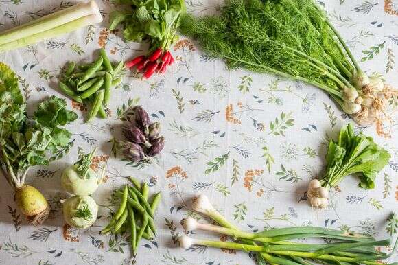 סלט ירקות | גיא אשכנזי, Agency Karela