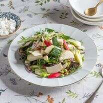 סלט ירקות | גיא אשכנזי, Agency Karela