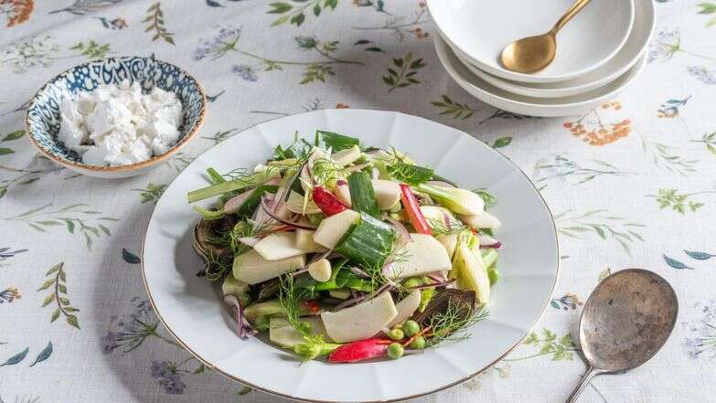 סלט ירקות | גיא אשכנזי, Agency Karela