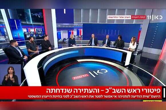 לא יכול להיות שיש רק אילה חסון אחת. טפיירו בפאנל | צילום מסך מתוך כאן 11 לא יכול להיות שיש רק אילה חסון אחת. טפיירו בפאנל | צילום מסך מתוך כאן 11