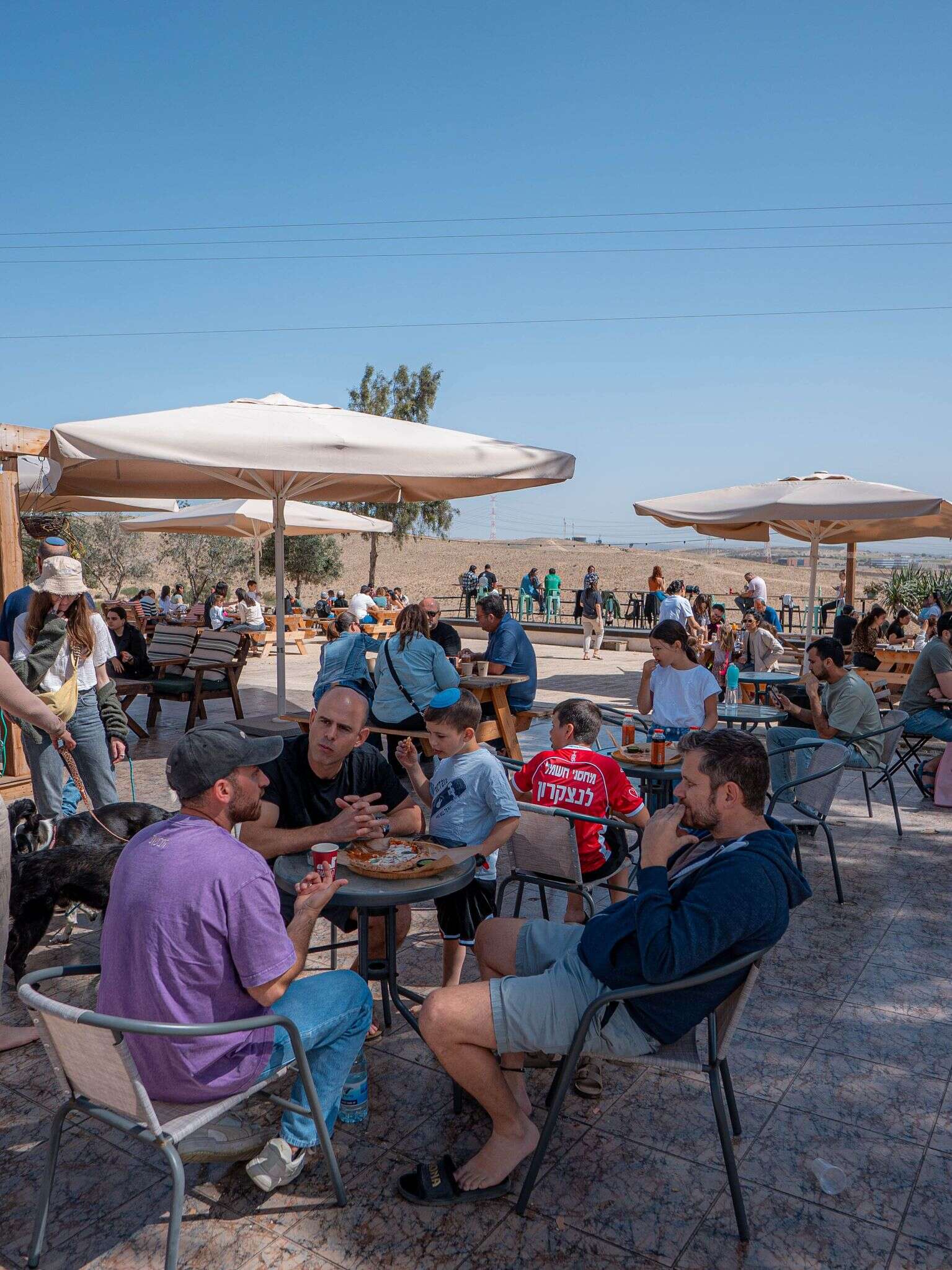 הדבשת | דניאל יאסנו הדבשת | דניאל יאסנו