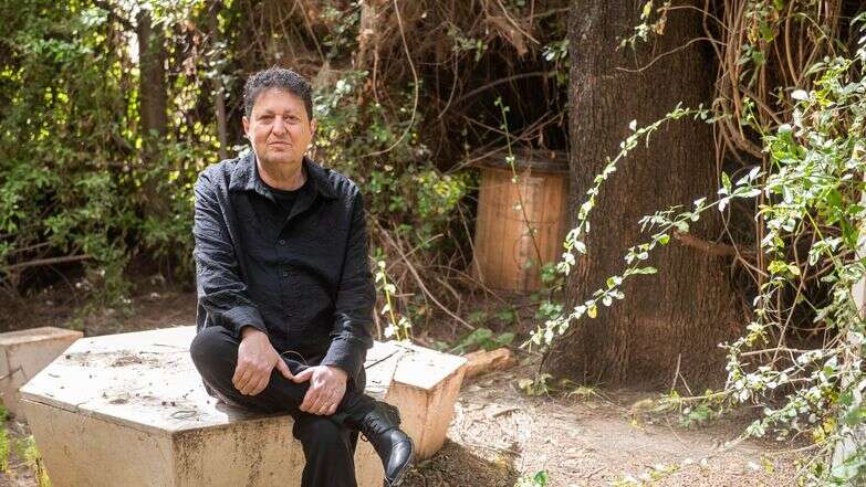 בלו סימיון פיינרו | אביטל הירש בלו סימיון פיינרו | אביטל הירש