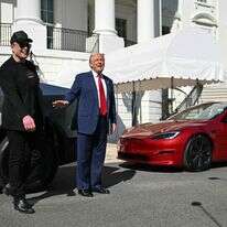 טראמפ ומאסק על רקע מכוניות טסלה בבית הלבן | AFP