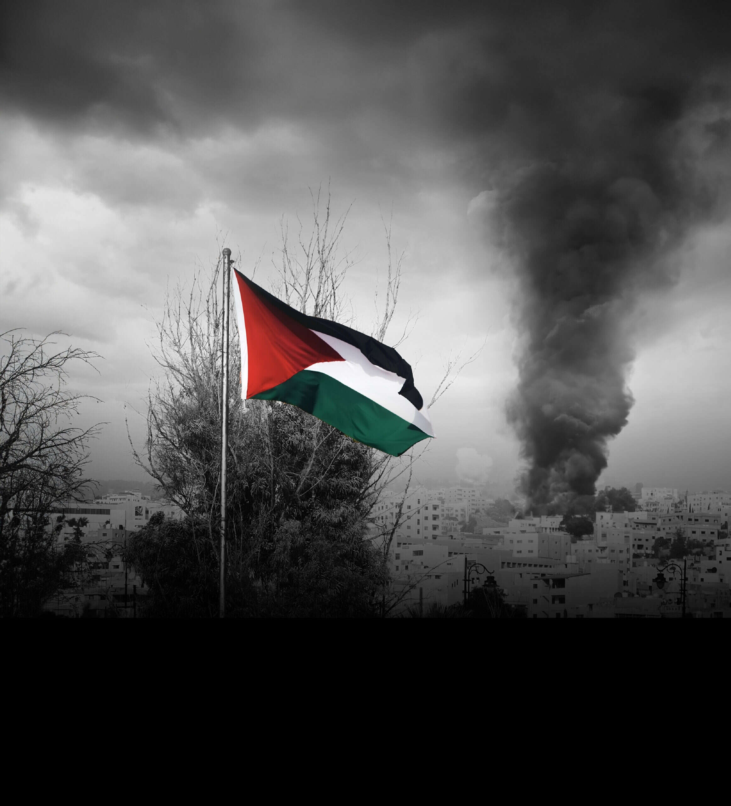 דע את האויב | סטודיו מקור ראשון