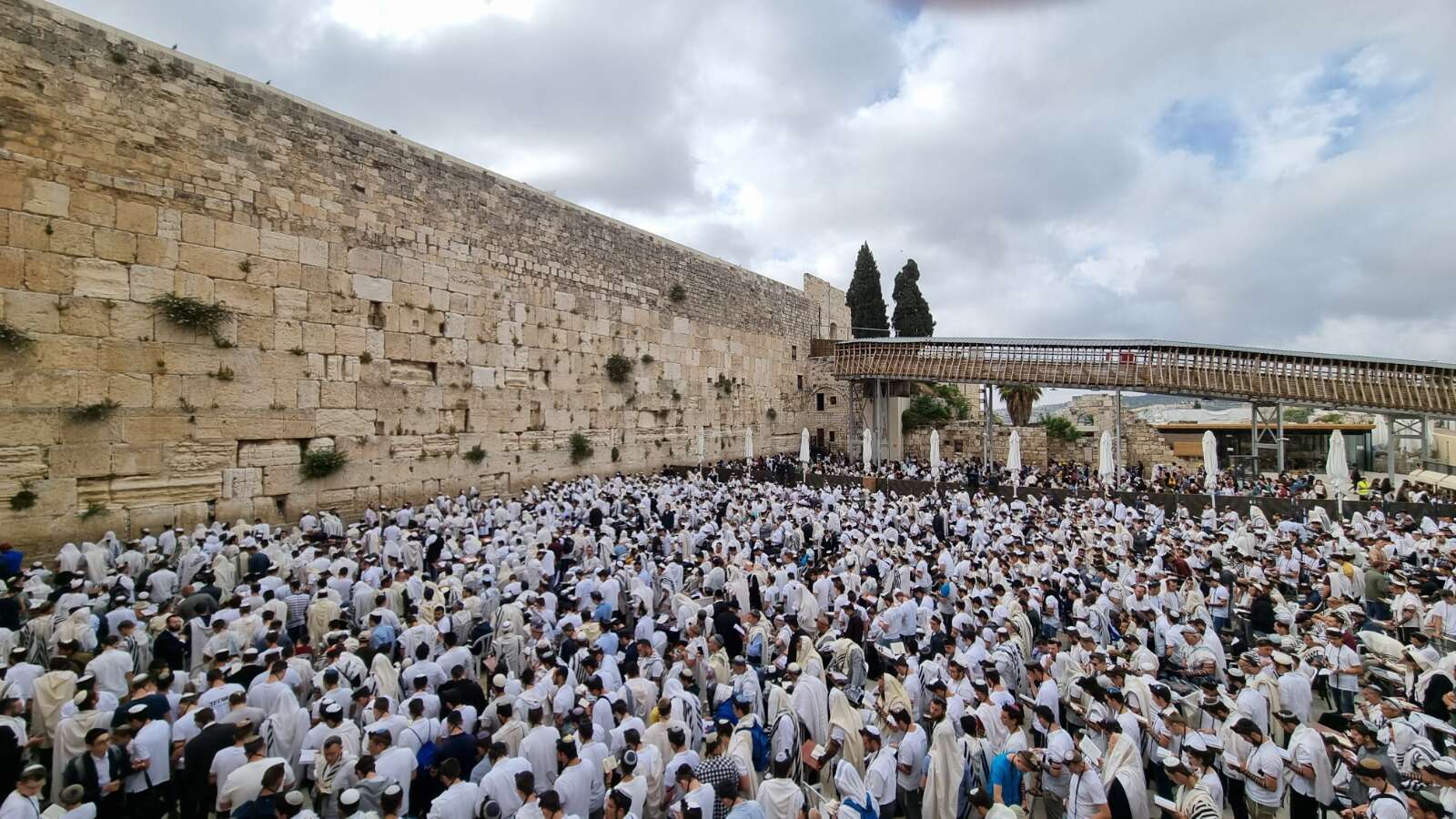 שידור חי מהכותל המערבי: תפילת שחרית חגיגית לרגל יום ירושלים תשפ”ו 2026