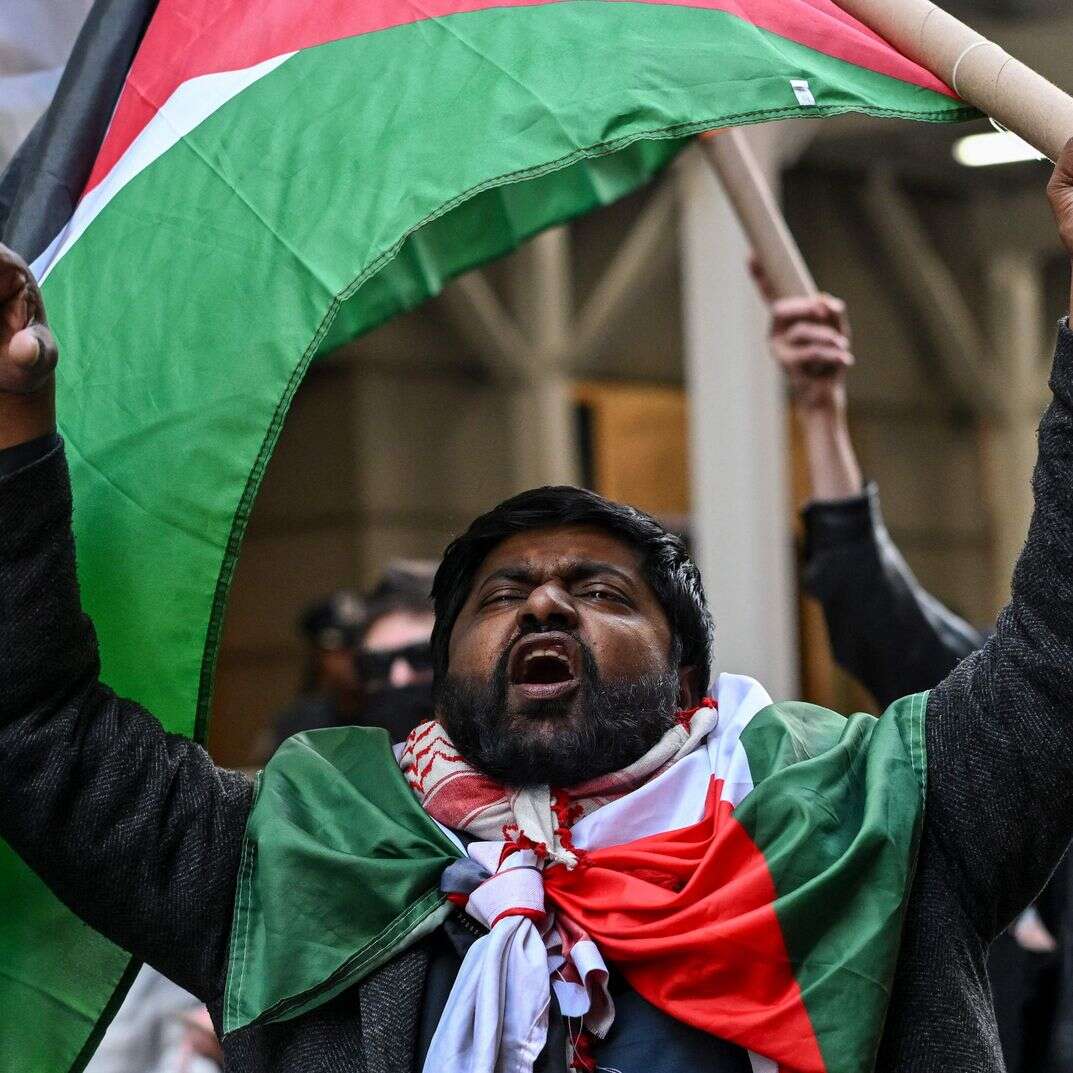 הפגנה פרו פלסטינית בניו יורק | ANGELA WEISS / AFP הפגנה פרו פלסטינית בניו יורק | ANGELA WEISS / AFP