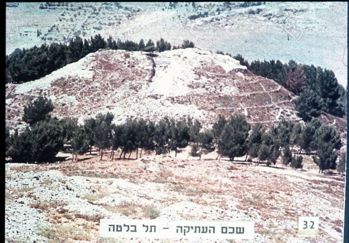 הרבה יותר מהגנה: ערי המקלט הן מצווה מרכזית בתורה