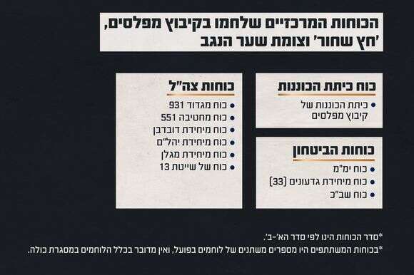 הכוחות הלוחמים במרחב | דובר צה"ל
