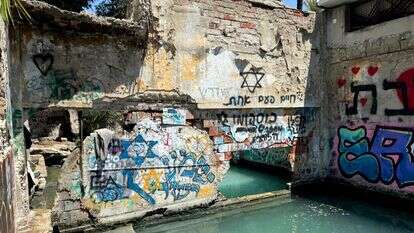 עין ג'ונס הסמוך לחמת גדר | אושרי ילוז, רשות ניקוז ונחלים כינרת עין ג'ונס הסמוך לחמת גדר | אושרי ילוז, רשות ניקוז ונחלים כינרת