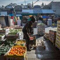 פירות בדרכם למדפי הסופר | הדס פרוש, פלאש 90