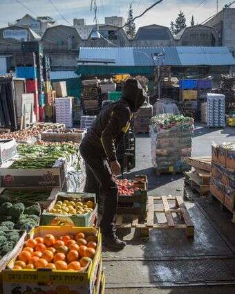 פירות בדרכם למדפי הסופר | הדס פרוש, פלאש 90