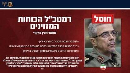 מבצעי חיסול באיראן | דובר צה"ל