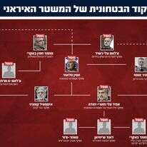 שרשרת הפיקוד הבטחונית של המשטר האיראני | דובר צה"ל