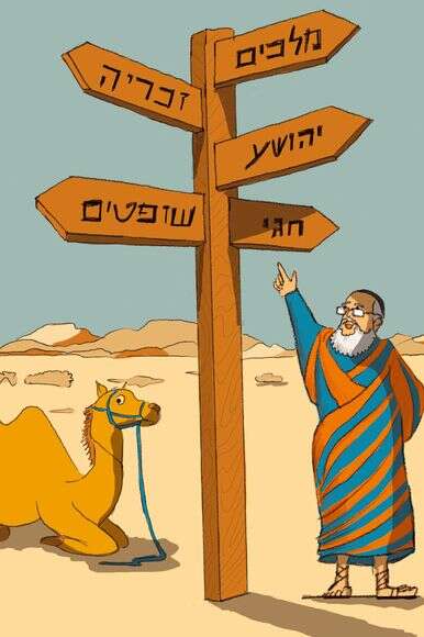 איילת ינאי