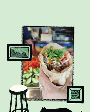 חתוליות | מתוך הרשתות החברתיות