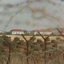 כדים | נתי שוחט - פלאש 90