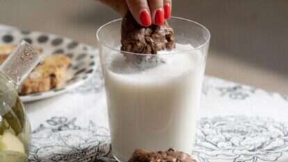 עוגיות פאדג' שוקולד | גיא אשכנזי, Karela Agency