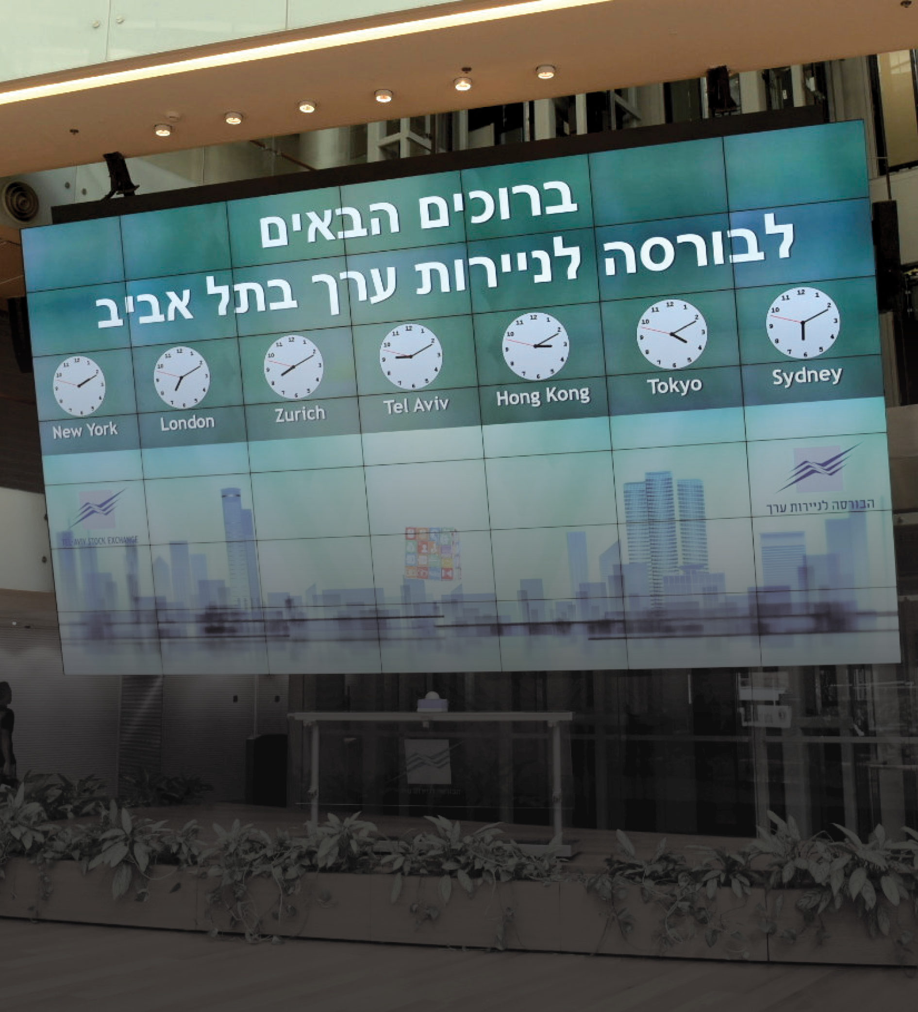 הבורסה לניירות ערך בתל אביב | רועי אלימה, פלאש 90