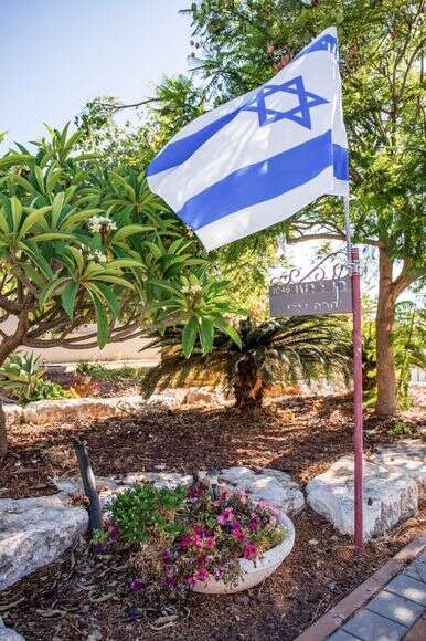 ברוך גרינברג ברוך גרינברג
