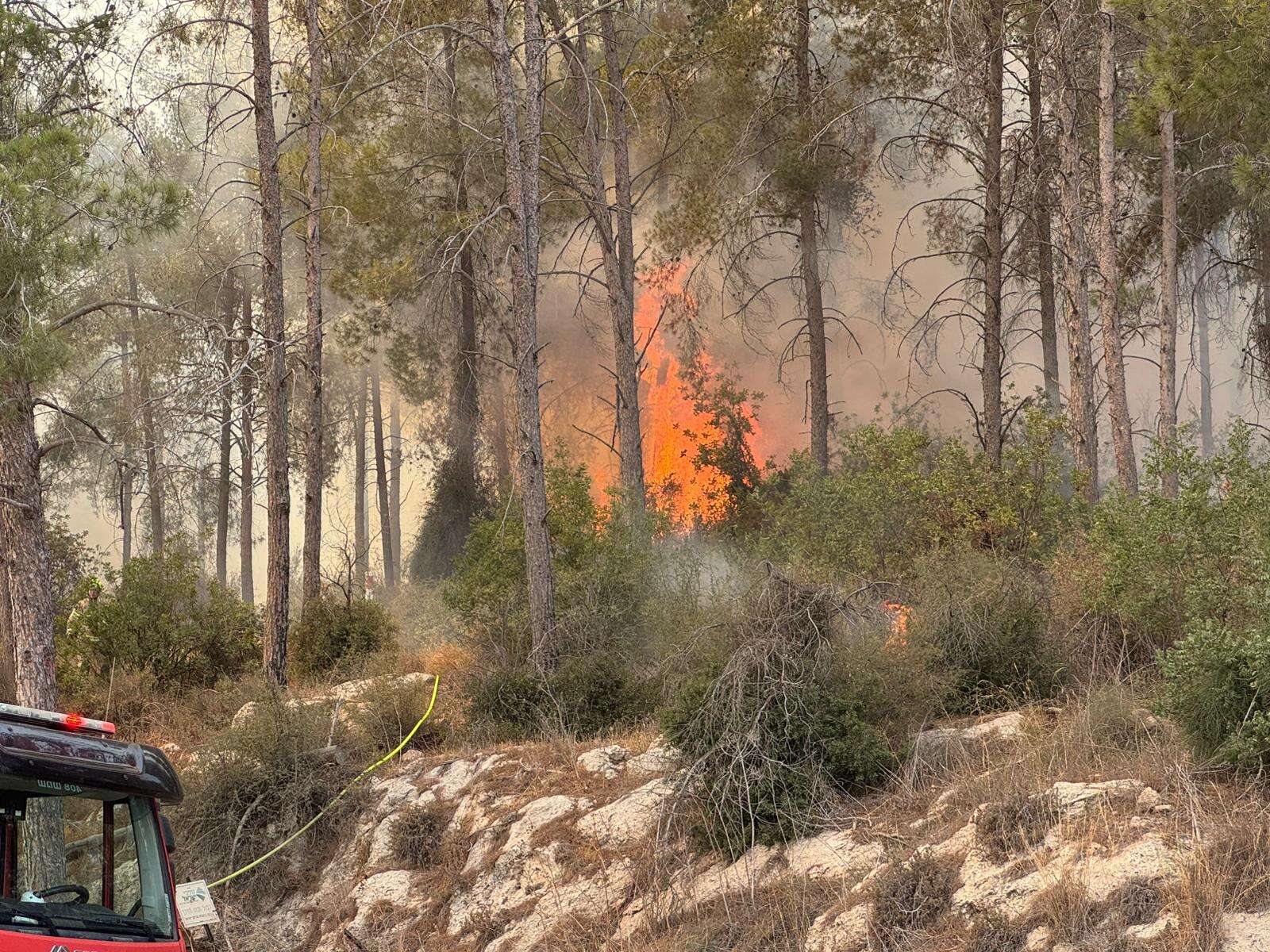 גל שריפות ברחבי יהודה ושומרון – חשד להצתות