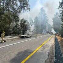 רכב שעלה באש והצית שריפה ביער אשתאול | קק"ל רכב שעלה באש והצית שריפה ביער אשתאול | קק"ל