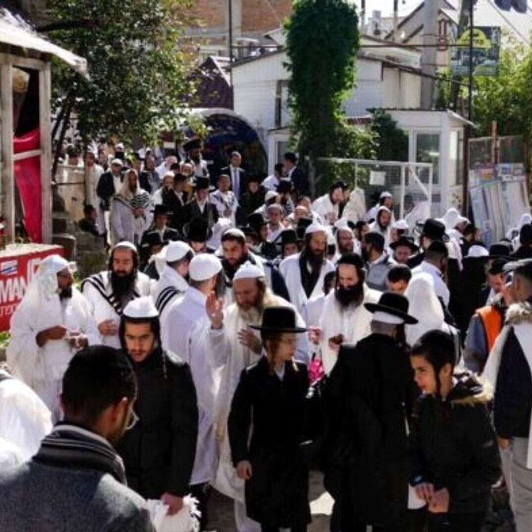 חסידים באומן, 2021. | חסידים באומן, 2021. חסידים באומן, 2021. | חסידים באומן, 2021.