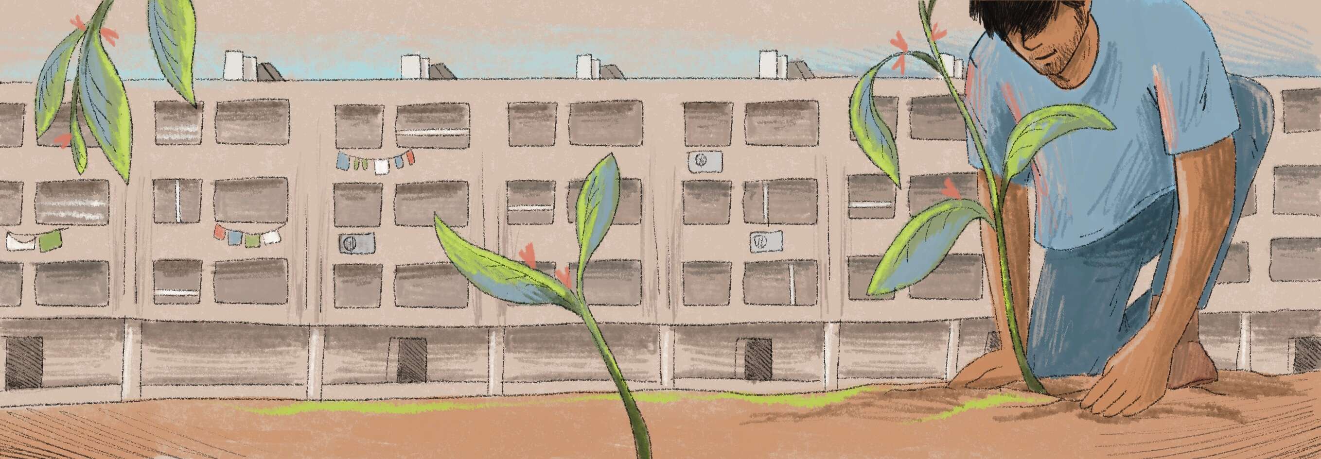 איור: נעמה להב