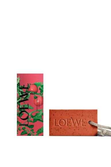 LOEWE | באדיבות המותג