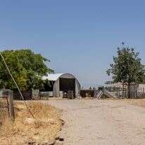 חוות השקדים | נעמה שטרן