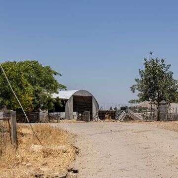 חוות השקדים | נעמה שטרן
