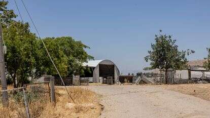 חוות השקדים | נעמה שטרן
