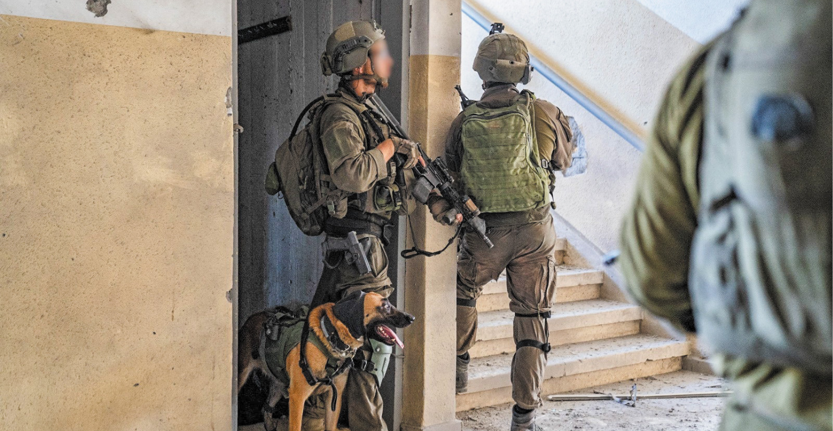 "הרבה כלבים נהרגואו נפצעו, אבל היחידהשמרה על כשירות".לוחמי עוקץ בעזה | דובר צה"ל