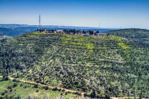 בית החולים הפסיכיאטרי "איתנים" בהרי ירושלים | חגי אגמון שניר