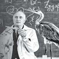 ציפור משונה | צילום: באדיבות נחום גידל - ויקיפדיה, ומשפחת אהרוני ציפור משונה | צילום: באדיבות נחום גידל - ויקיפדיה, ומשפחת אהרוני