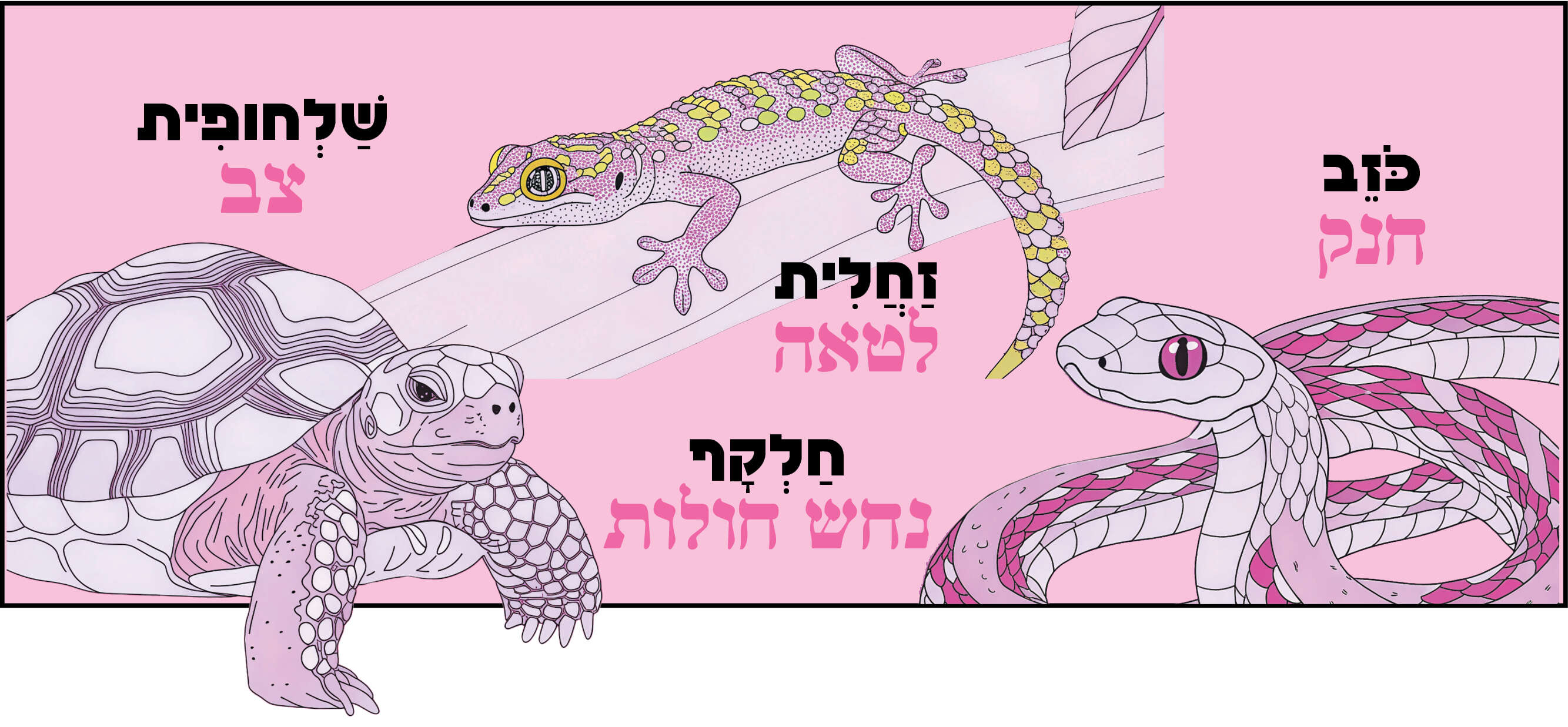 השמות שהציע אהרוני והשמות המקובלים היום | סטודיו מקור ראשון השמות שהציע אהרוני והשמות המקובלים היום | סטודיו מקור ראשון