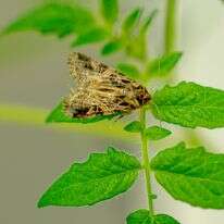 התשמע קולי דף הבית | אריק מרמור התשמע קולי דף הבית | אריק מרמור